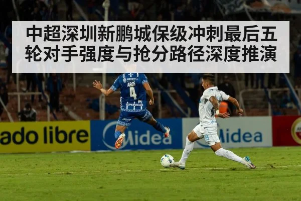 中超深圳新鹏城保级冲刺最后五轮对手强度与抢分路径深度推演